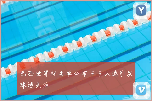 巴西世界杯名单公布卡卡入选引发球迷关注